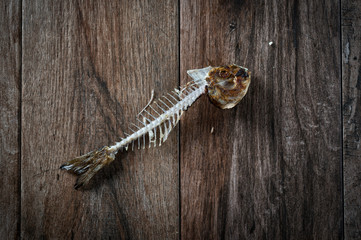 Fish Fish bone on rustic wooden background. 