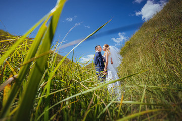 Wedding walk on nature