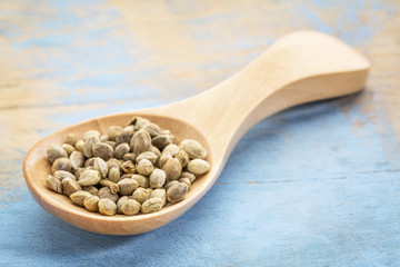hemp seeds on wooden spoon