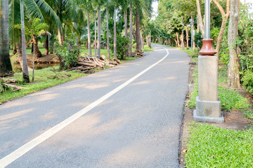 Obraz premium Public park / Empty street in the public park.