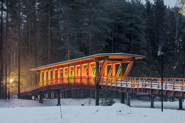 Naklejka premium Wooden bridge in the forest park. Night multicolored lights.
