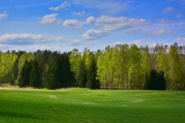 Naklejka na ściany i meble Green spring landscape with trees and meadows