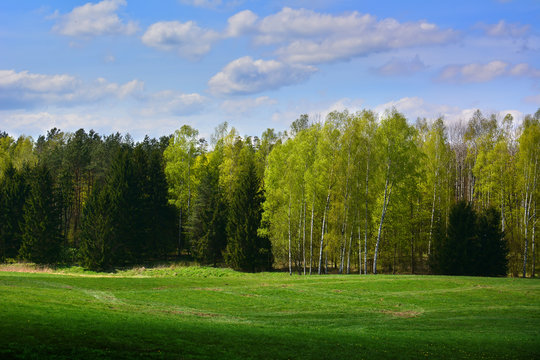 Green spring landscape with trees and meadows