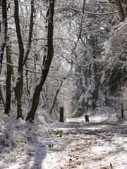 Aachen Dreiländerpunkt Schneelandschaft Grenzsteine 3