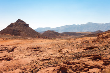 Negev Desert