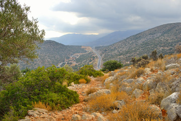 Summer mountain landscape.