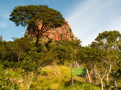 Trail way to sandstone rock in up-country Sao Paulo - Brazil