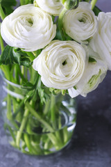 White persian buttercup flowers (ranunculus)