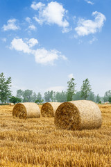 Straw bales Scenery in the country farm