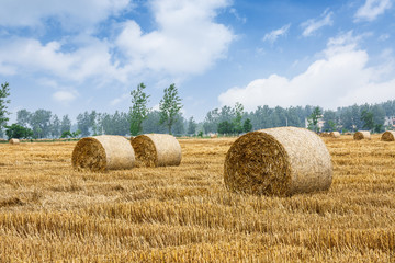 Straw bales Scenery in the country farm