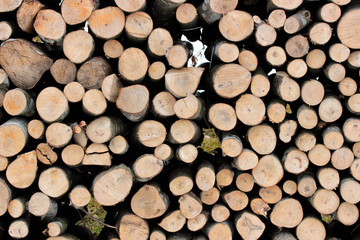 Stack of firewood to be dried