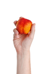 fresh juicy tasty red and yellow peach in a human hand isolated