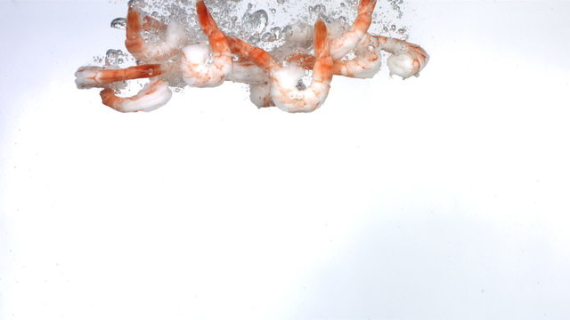 Shrimp splashing into water, slow motion