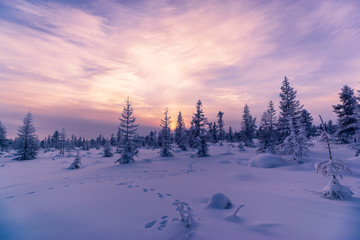 Winter landscape with forest, cloudy sky and sunset 