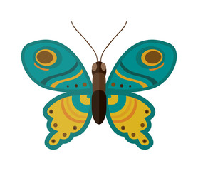 Colored cartoon butterfly vector isolated on white background. 