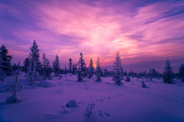 Winterlandschap met bos, bewolkte lucht en zonsondergang
