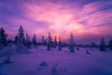 Papier Peint photo Tailler Paysage d& 39 hiver avec forêt, ciel nuageux et coucher de soleil