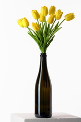 Tulips in a bottle. / Yellow tulips in a bottle standing on the Ionic column. White background.