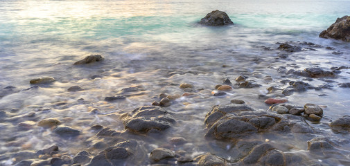 Natural green moss at beach rock with sunset moment background. Focused at foreground.