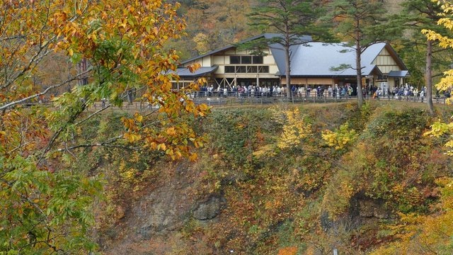 Osaki, Japan - 28 Oct, 2014 :  Bridge with leaves turning color in autumn in Naruko Gorge - Osaki, Miyagi, Japan