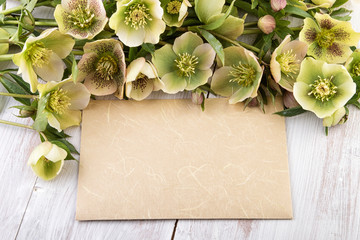 Easter card with spring flowers pastel color