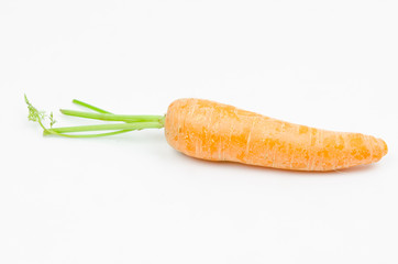 carrot isolated on a white background