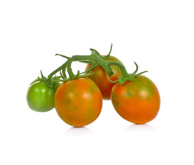 tomatoes  on  white background