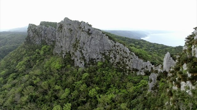 沖縄やんばる　大石林山4K空撮