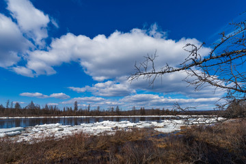 Spring day landscape with debacle, river and forest and clouds on blue sky 