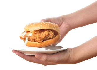 Hand holding chicken burger on white background