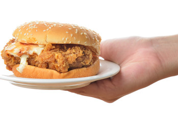 Hand holding chicken burger on white background
