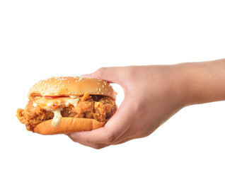 Hand holding chicken burger on white background - 105153340