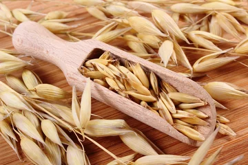 Foto op Canvas Organic oat grains on wooden spoon, healthy nutrition © ratmaner