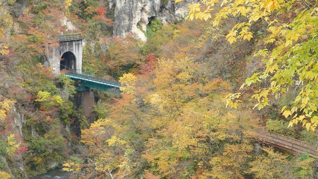 Osaki, Japan - 28 Oct, 2014 :  Bridge with leaves turning color in autumn in Naruko Gorge - Osaki, Miyagi, Japan