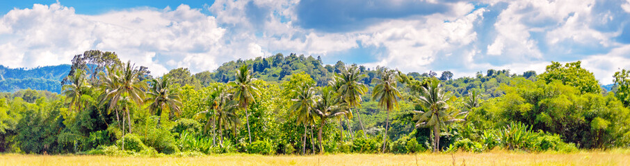 Fototapeta na wymiar Rice filed with mountains and blue sky landscape