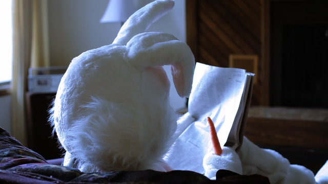 Easter bunny reads newspaper