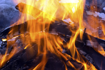 burning wood in a campfire