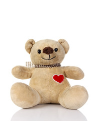 Teddy Bear isolate on white
