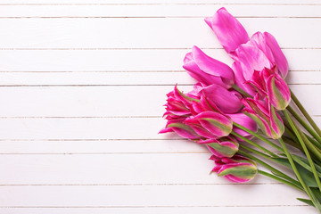 Fresh  spring pink  tulips  on white  painted wooden planks.
