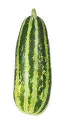 fresh cucumbers isolated on white