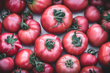 Heirloom tomatoes in display at a market. Organic, heirloom tomatoes, juicy and nutricious for sale at market