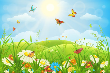 Fototapeta na wymiar Summer or spring lush meadow with colorful flowers and butterflies