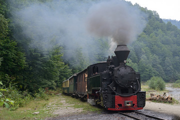 Fototapeta na wymiar old wood-burning locomotive