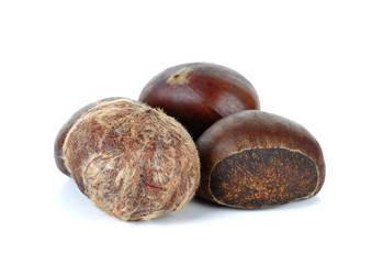 Chestnut isolated on the white background