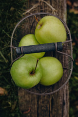 Grüne Äpfel im Korb