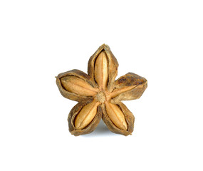 Dried star incas isolated on the white