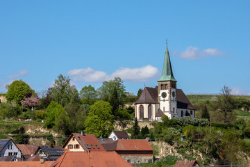 Fototapeta premium Bahlingen Am Kaiserstuhl