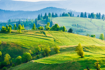 Obraz premium Carpathian meadow