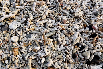 Abstract Background Image of Broken Dead Corals on Beach