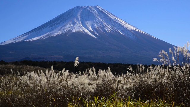 朝霧高原より富士山を望む
